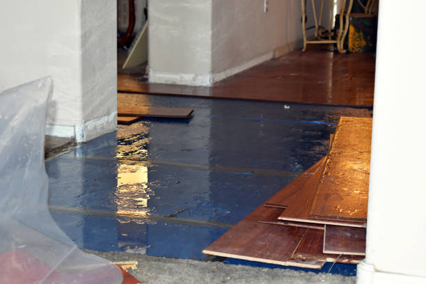 Professional Emergency Water Damage Restoration technician working in Newbury, NH