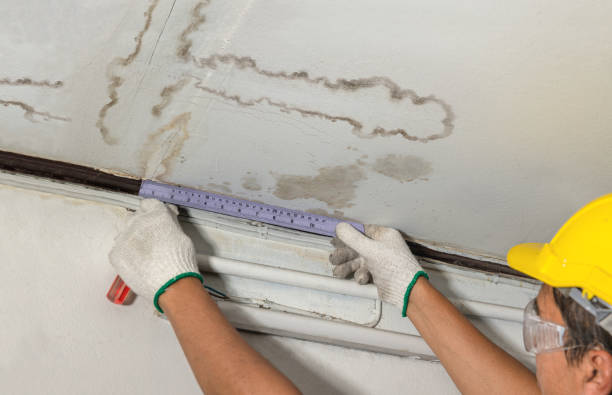 Reliable Emergency Water Damage Restoration contractor in Newbury, NH by Water Damage Irwin